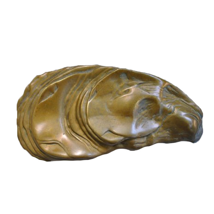 may river brass oyster shell buckle